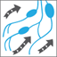 medicallymphdrainage.com