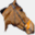 tomtaafferacing.ie