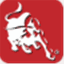 solanabbqgrills.com