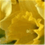 sonjakelly.com