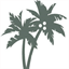 kauaioceansideevents.com