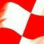 delta-accu.nl