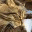 almanrunot.wordpress.com