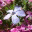 jessiethought.wordpress.com