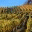 bcwinechat.com