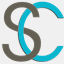 silverliningcarect.com