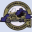 chapterg.org