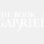 thebookofgabriel.com