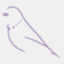 canary.com.hk