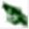 feather2pixels.com