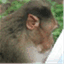 sublimemonkey.wordpress.com