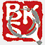 cnbksy.org