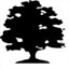magnoliaframe.com