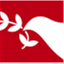 amirshakib.com