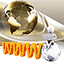 dm-webcreation.com