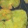 cindihandy.com