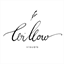 willowvisuals.com