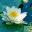 tutihaszon.wordpress.com