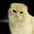 thekittyblogger.wordpress.com
