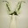 brokenantlernco.com