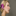 margiebresciani.com