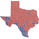 texasvotes.net