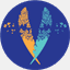thesocialeffect.it