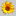sunstore.sdsunflower.com