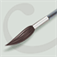 anillustratedguide.com