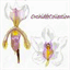 orchideecollection.over-blog.com