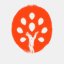 fallschurchmontessori.com