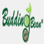 buddingbean.com