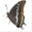 codula.it
