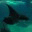 fliegenoderso.wordpress.com