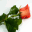 ladypost.ru