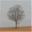 rocksntrees.wordpress.com