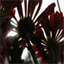 balconnier.over-blog.com