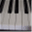 tonypacini.com