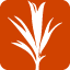 developmentseed.org