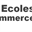 ecoles-commerce.com