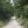 larrupin.wordpress.com