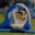 heidrondogs.com
