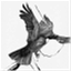 crowscomplaint.wordpress.com