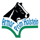 armorprimholstein.fr