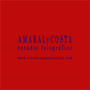 estudioamaralycosta.com