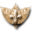 imascoltd.com