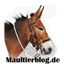 maultierblog.de
