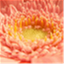 puce576.com