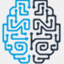 brainweb.cz