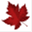 redmaplemarketing.co.uk